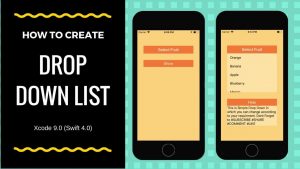 Create Drop-Down List_Menu