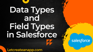 Data Type and Field Type in Salesforce
