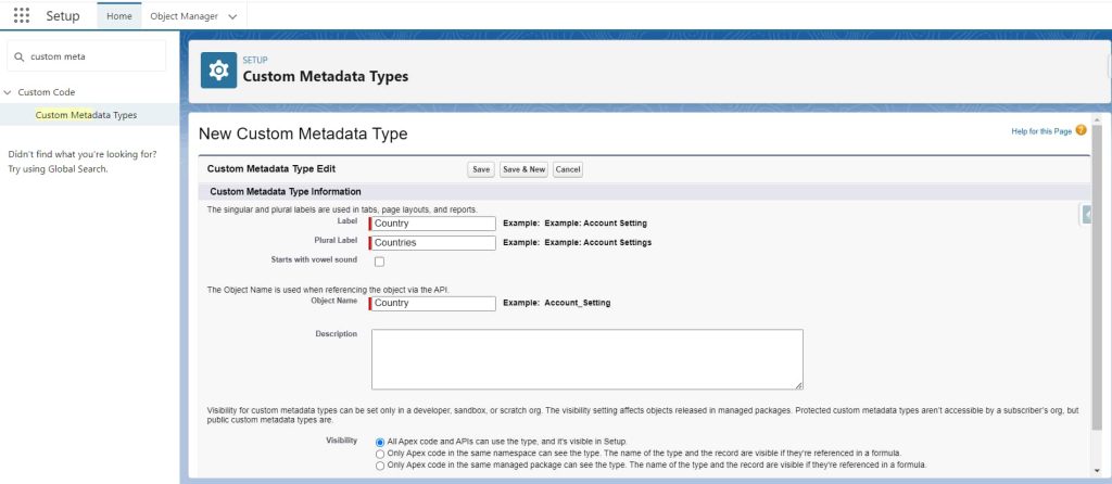 Custom Metadata Type Setup