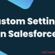 Custom Setting in Salesforce